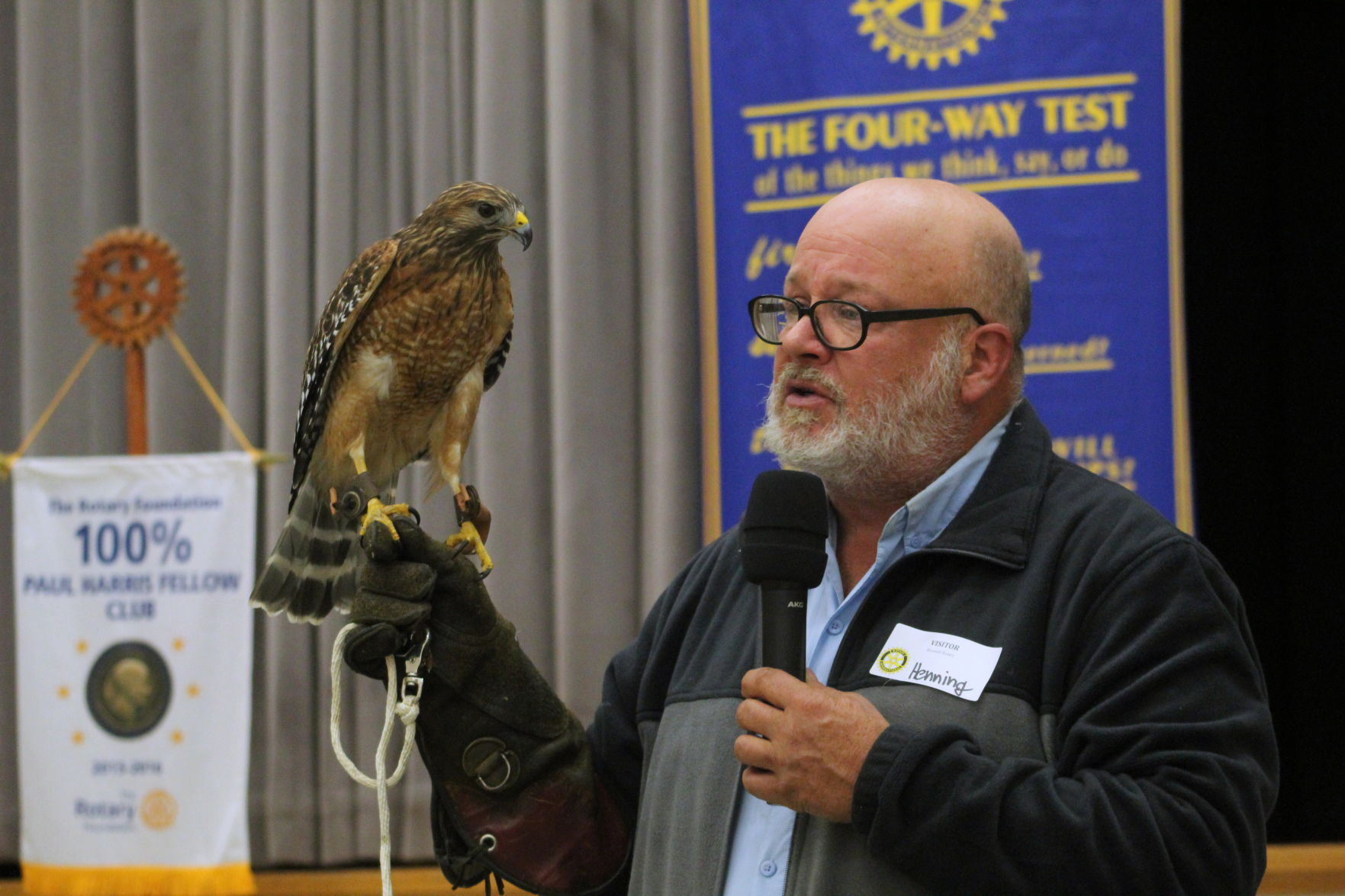 Chattahoochee Nature Center Henning Hawk